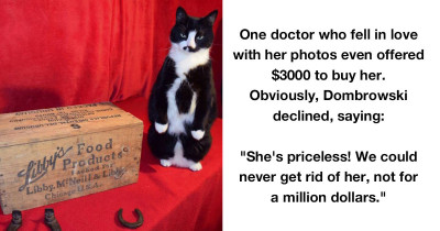 One Man's Cat Puts His eBay Account On The Map