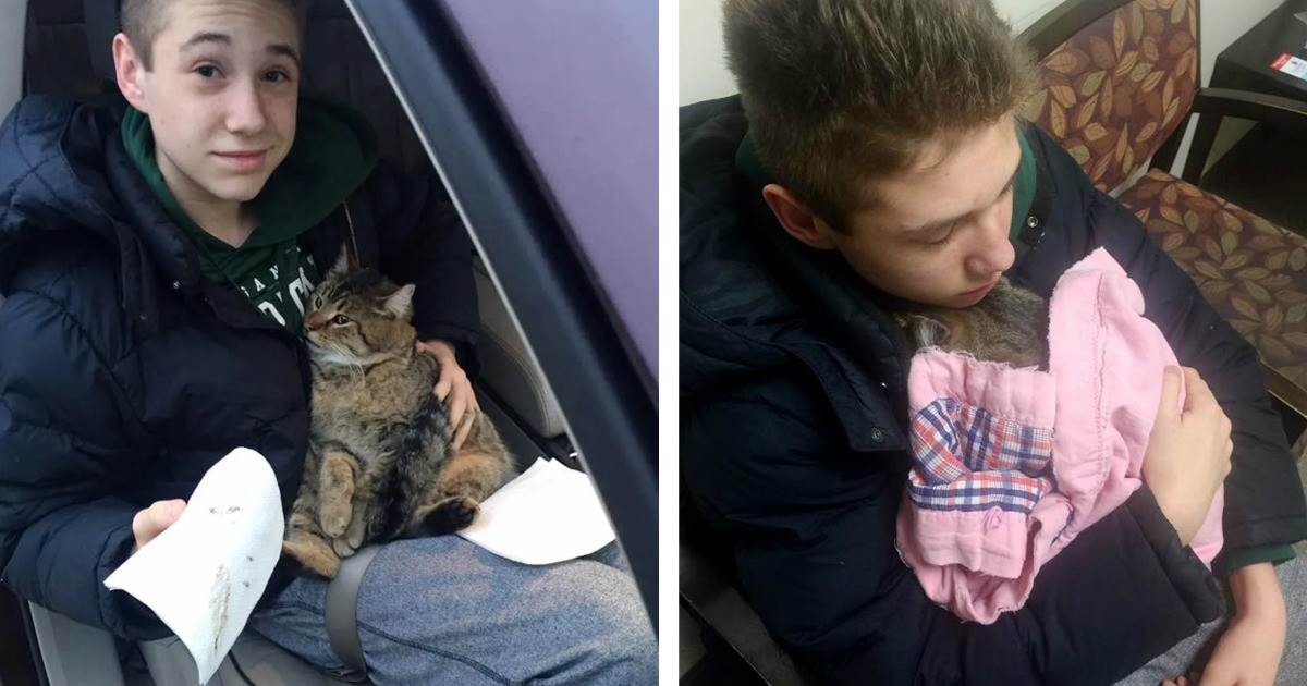 14-Year Old Boy Runs Into Incoming Traffic On Highway To Save Cat That Was Thrown Out Of The Car By Ruthless Previous Owner