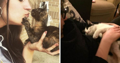 These 18 Cats Are Completely Head Over Heels in Love With Their Owners