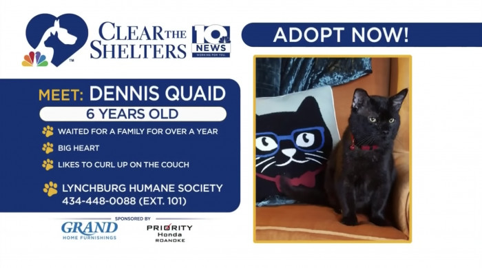 Last week, Virginia news station, 10 News aired a segment about an initiative called Clear the Shelters. 