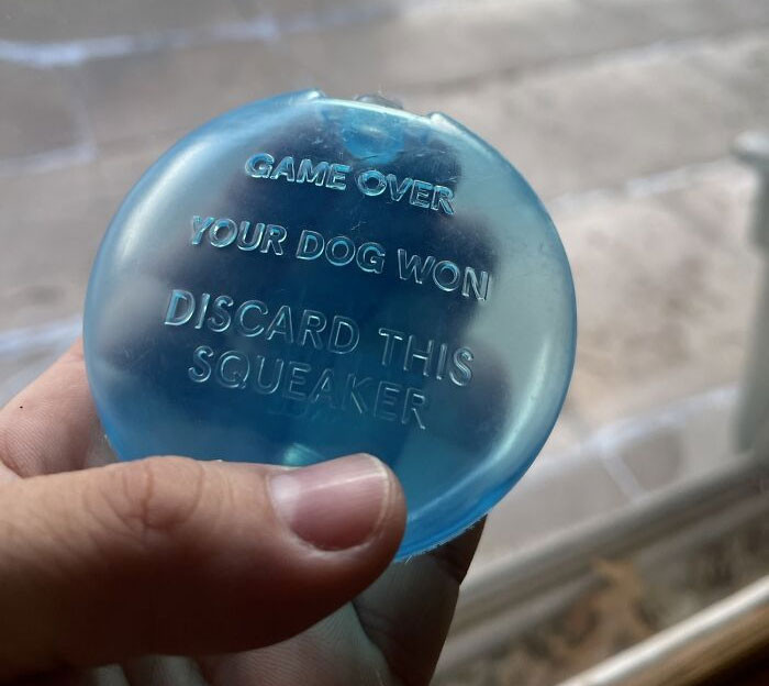 1. This Message Stamped On The Squeaker Inside The Stuffed Animal My Dog Just Destroyed
