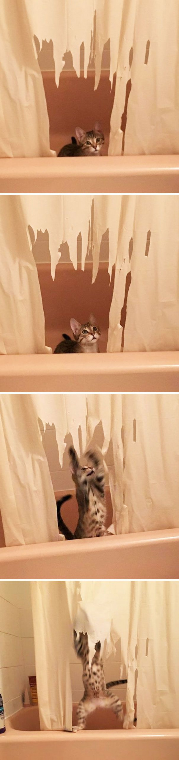 4. She only paused the moment she got caught; then she resumed her destruction