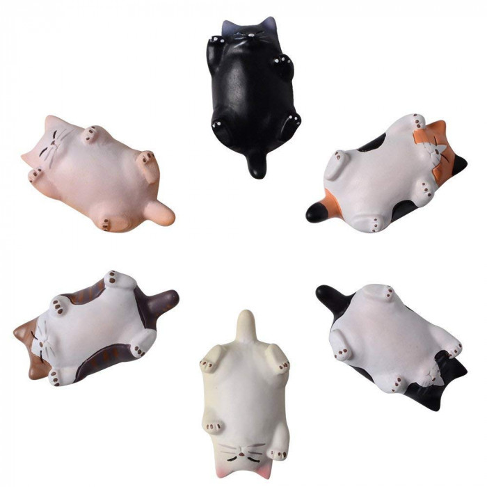 Chubby Kitty Magnets