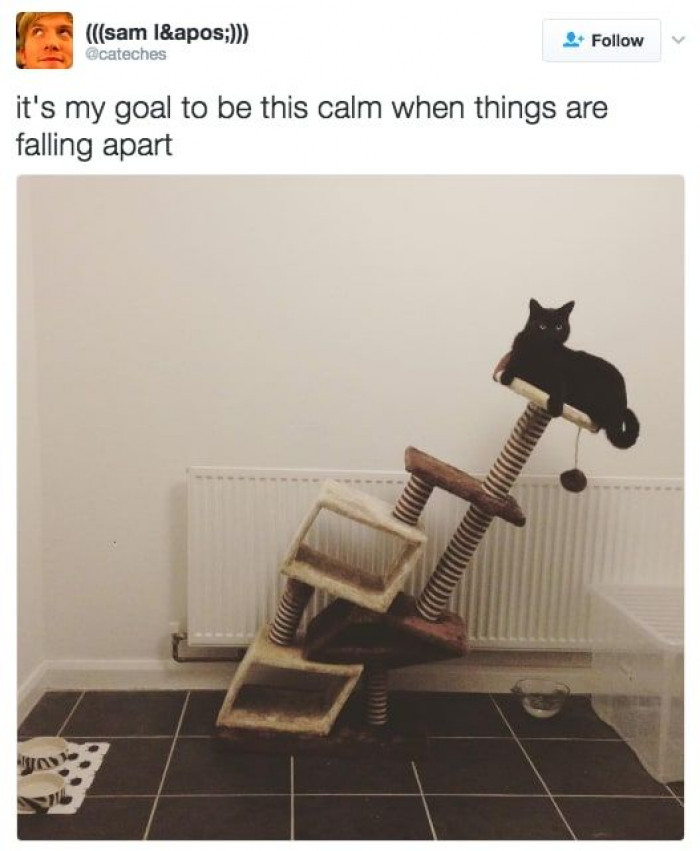 1. Everything's going to be okay as long as you keep ignoring everything