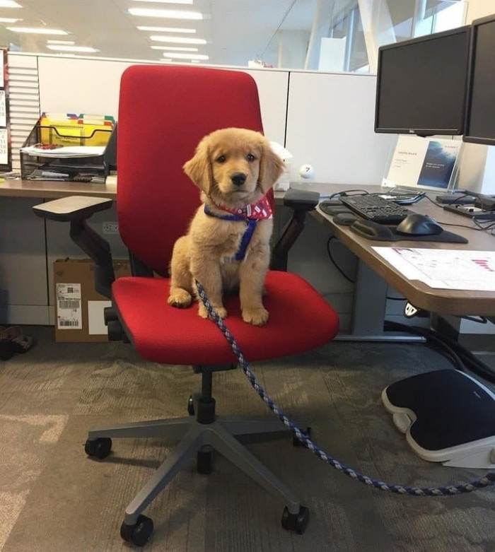 15. First day on the job and already melting hearts.