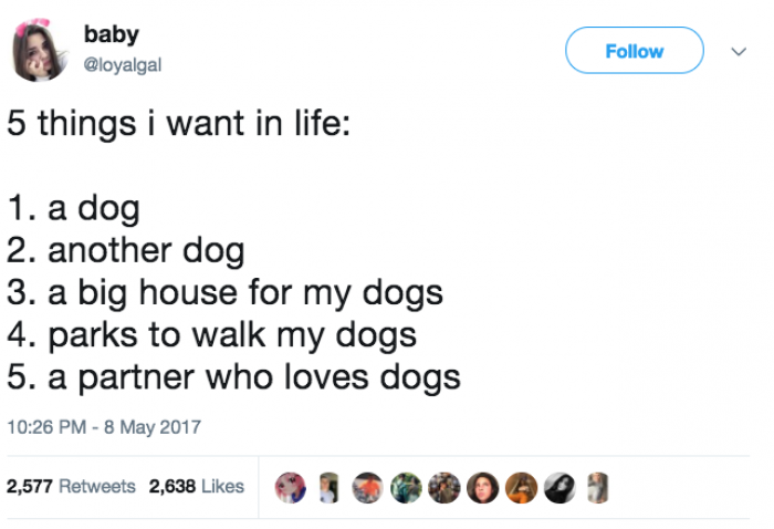 12. Pretty much anything dog-related