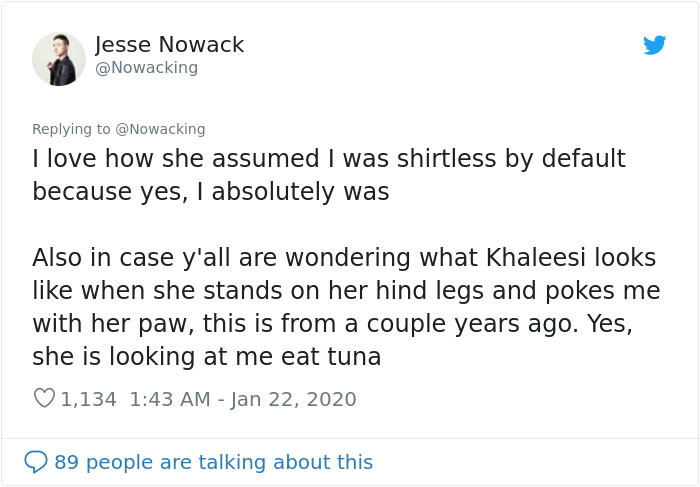 Cat stands alert near tuna, whiskers forward, excited expression