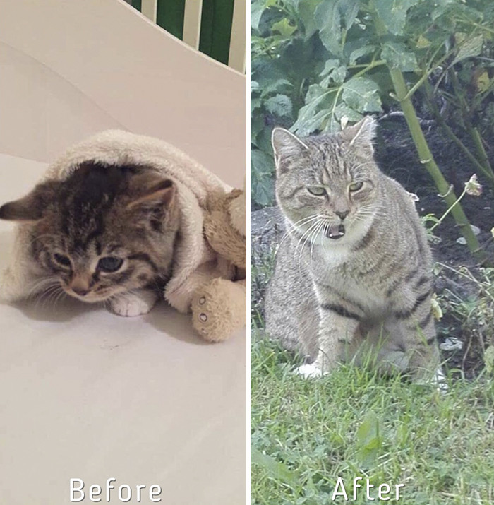 Latvia and the cats of Latvia are lucky to have Zanda.