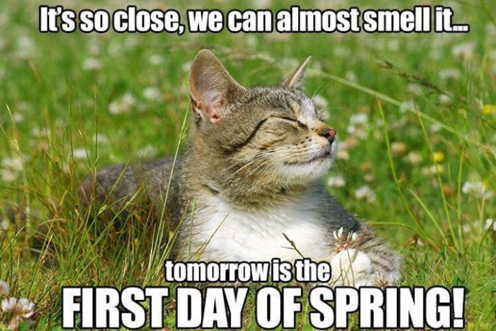 6. How did you celebrate Spring on the 20th?