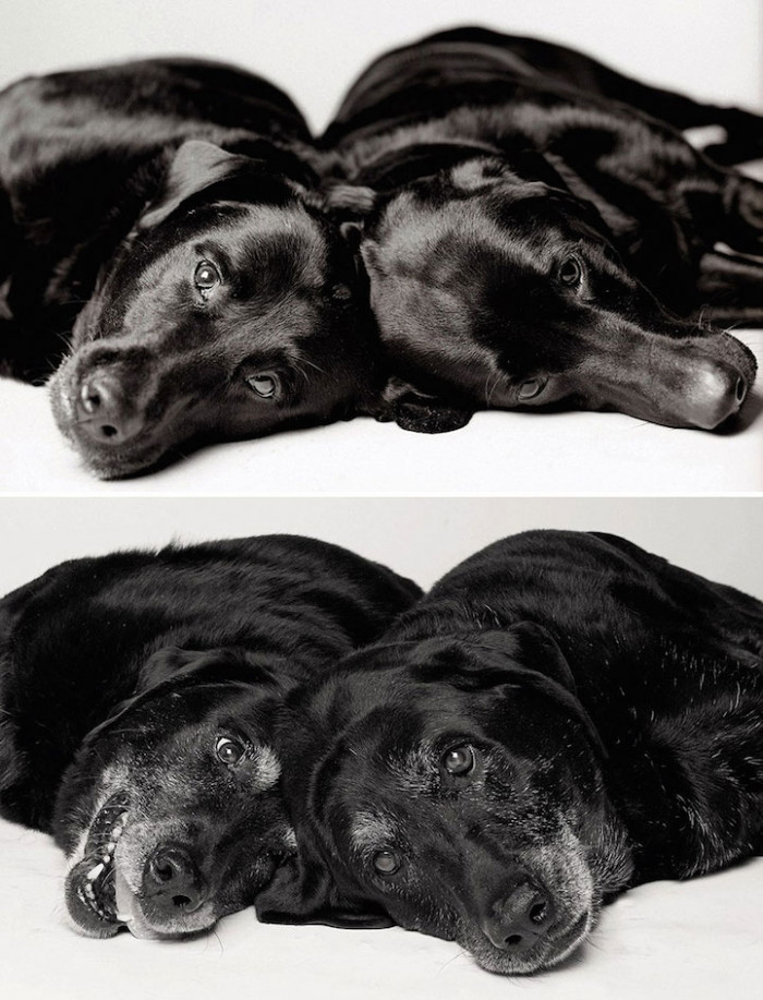 5. Maddie, 7 years and 14 years. Ellie, 6 years and 13 years.