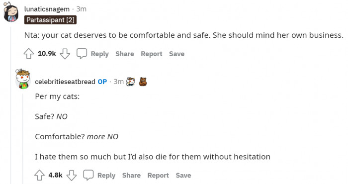 Every pet deserves a big home like we all do, and they need to be comfortable in the safe space that's made for them.