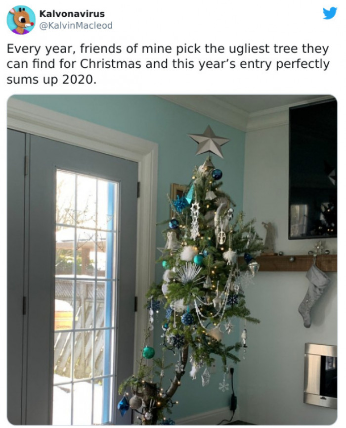 11. What the past year looked like.