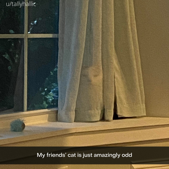 9. Isn't it wonderful?