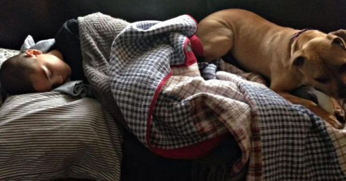 Ember stays close to Tre, sleeping at the end of his bed every night.