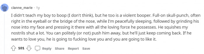 "A violent booper." Sounds about right.