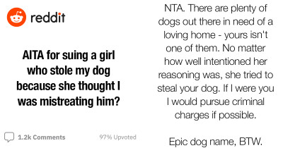 Wannabe Hero Rescues A Dog Thinking He Was "Muzzled Against His Will" and Gets Sued By The Dog's Worried Owner