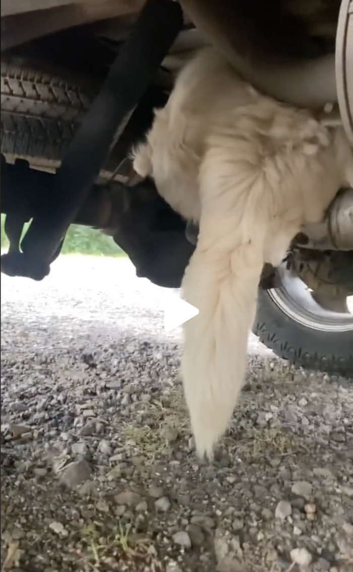 How did he get there? That secret is between Albus and the pipes