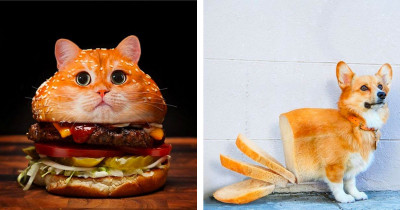 Absolutely Adorable Animals Photoshopped Into Unexpected Places You Can't Help But Love