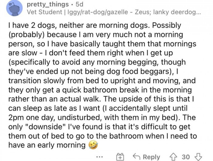 2. They've gotten too used to evening schedules.