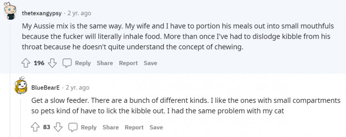 Some dogs quickly swallow their food, even though it's bad for them.