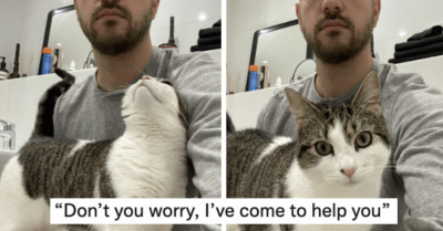10+ Hilarious Cats That Always Have The Urge To Follow Their Owners To The Bathroom