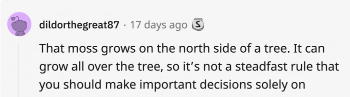 4. Finding your way back might get a little foggy.
