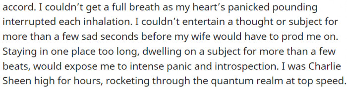I Was Charlie Sheen High for Hours