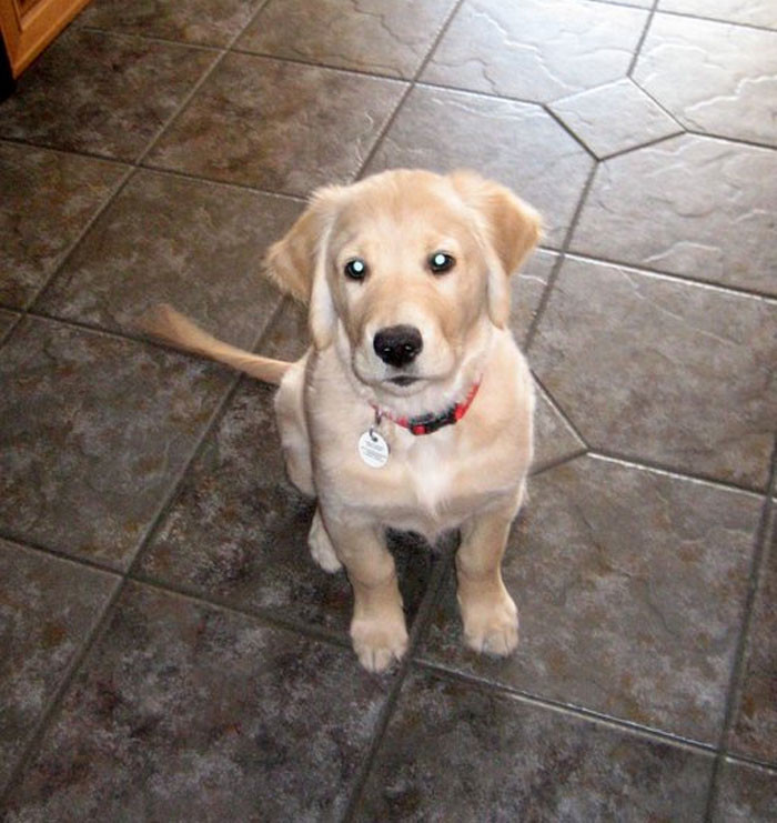 32. Our Eyes Just Suddenly Became Sweaty...