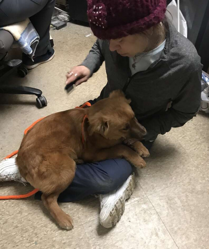 They are slowly gaining their confidence back, and we're happy for them