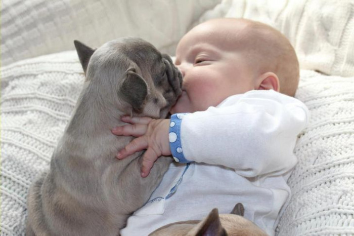 10. The baby seems to love the pet