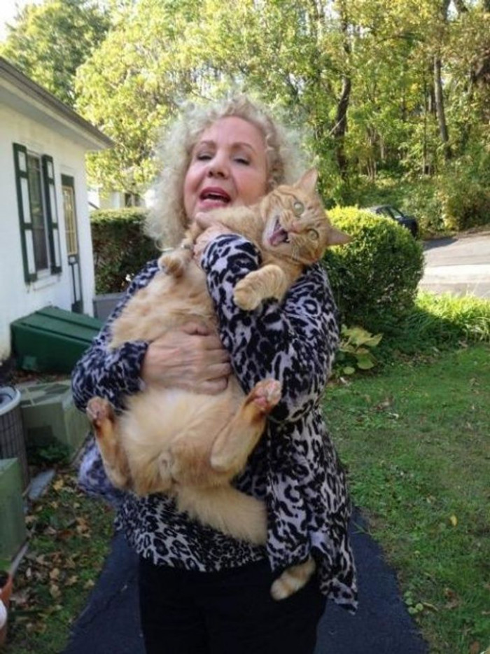 23. The look of desperately calling for help.