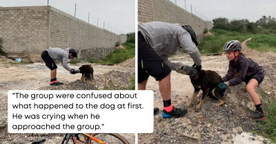 Dog Who Gets His Head Stuck in a Plastic Bottle Is Relieved That Some Kind Bikers Came to Help Him