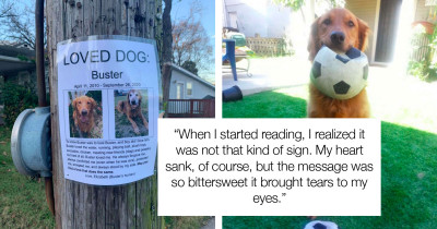 Lost Dog Poster Is Noticed For Its Purity By A Neighbor