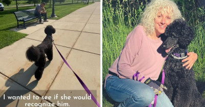Dog Passes Next to a Man Sitting on a Park Bench and Then Realizes It’s Her Friend She Hasn’t Seen in Almost a Year