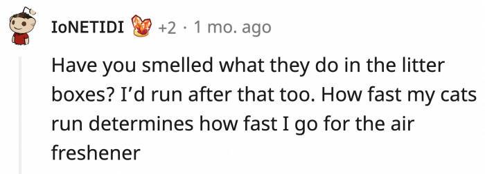 This sounds like sound advice from an experienced cat owner