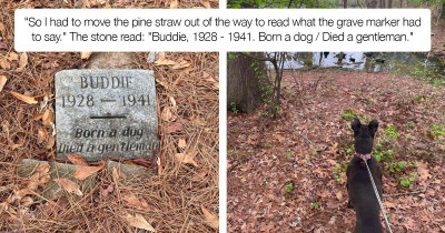 Man Left In Tears After Finding The Grave Of A Dog From 80 Years Ago