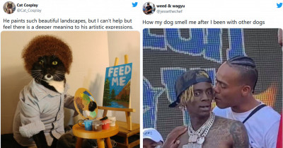 30 Of The Best And Funniest Tweets About Cats And Dogs