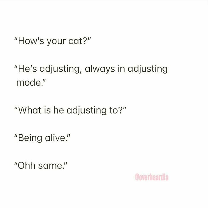 38. Aren't we all?