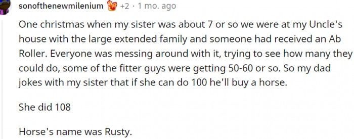 1. Rusty is the horse's name