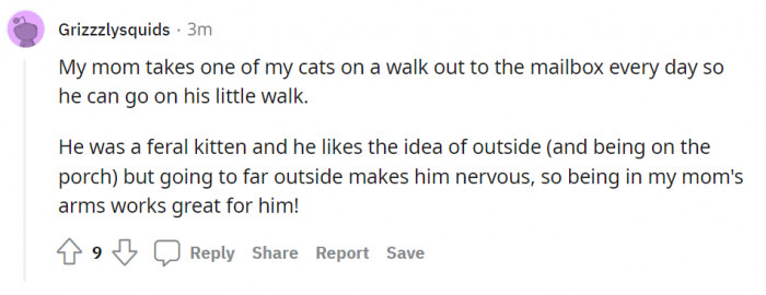 The little guy can enjoy his walks. God bless mama!