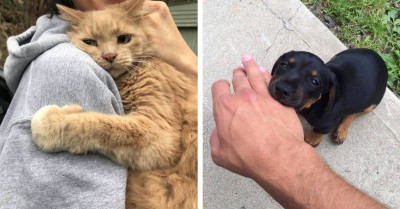 19 Adorable Photos Of Animals Hugging And Cuddling That Will Melt Your Heart