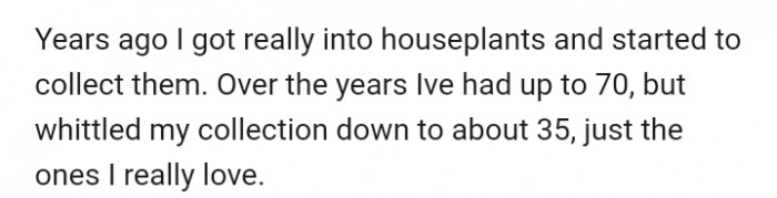 The author reveals her love for plants