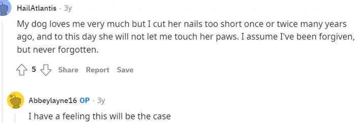 Forgiven but never forgotten