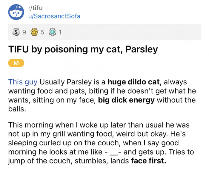 Here’s the original Reddit post by u/SacrosanctSofa: