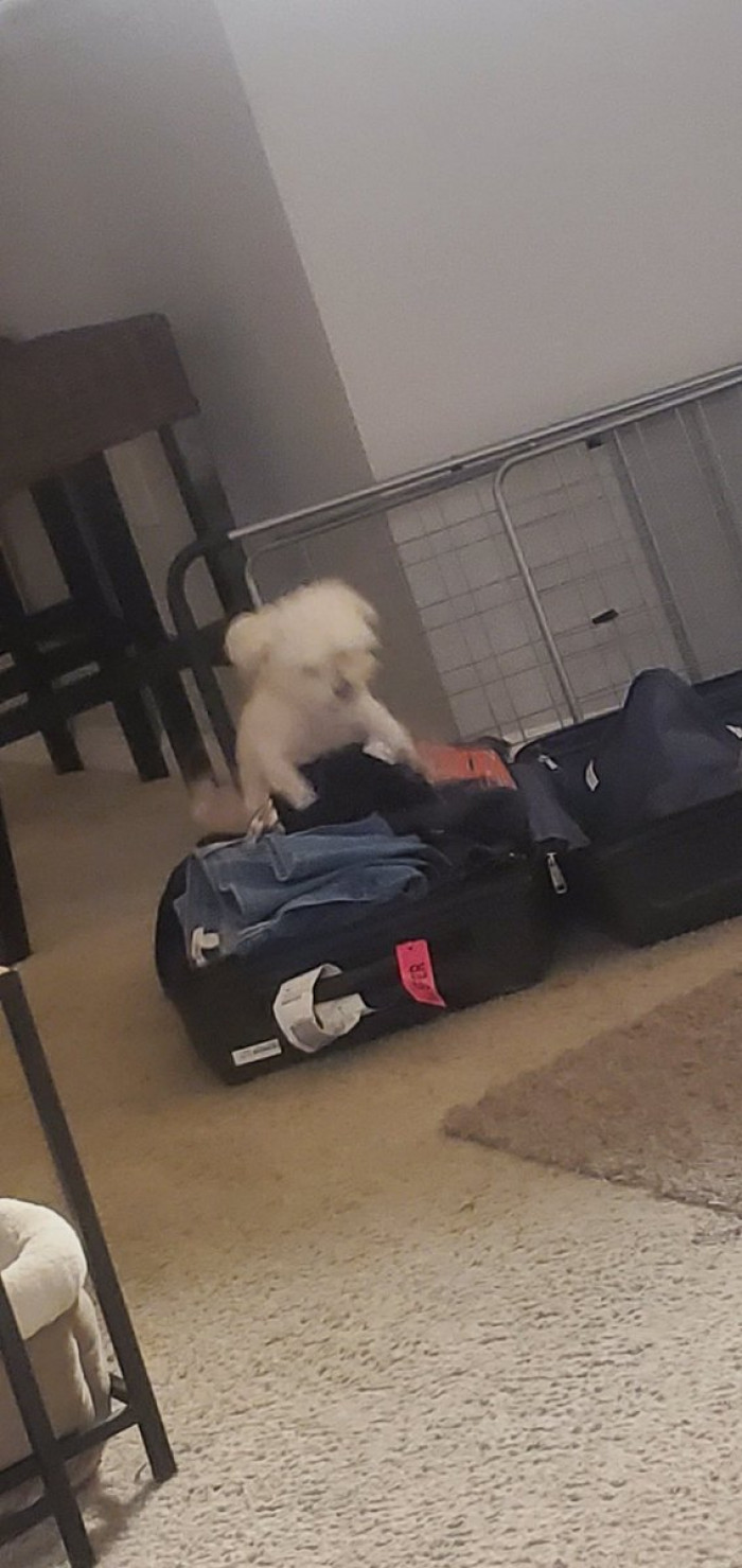 5. Unpacking