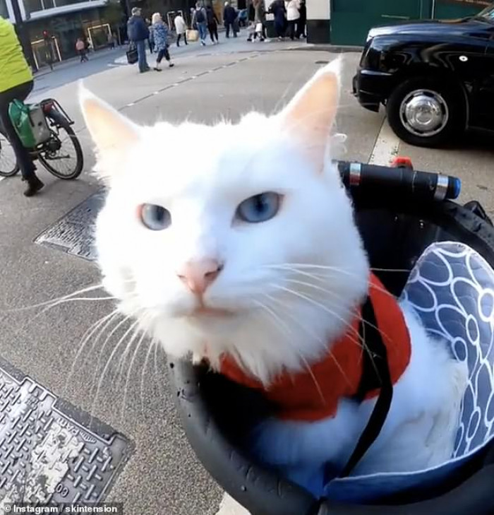 Travis puts a lot of effort into managing his social media. He sometimes spends up to four hours a day editing footage of his adventures with Sigrid.