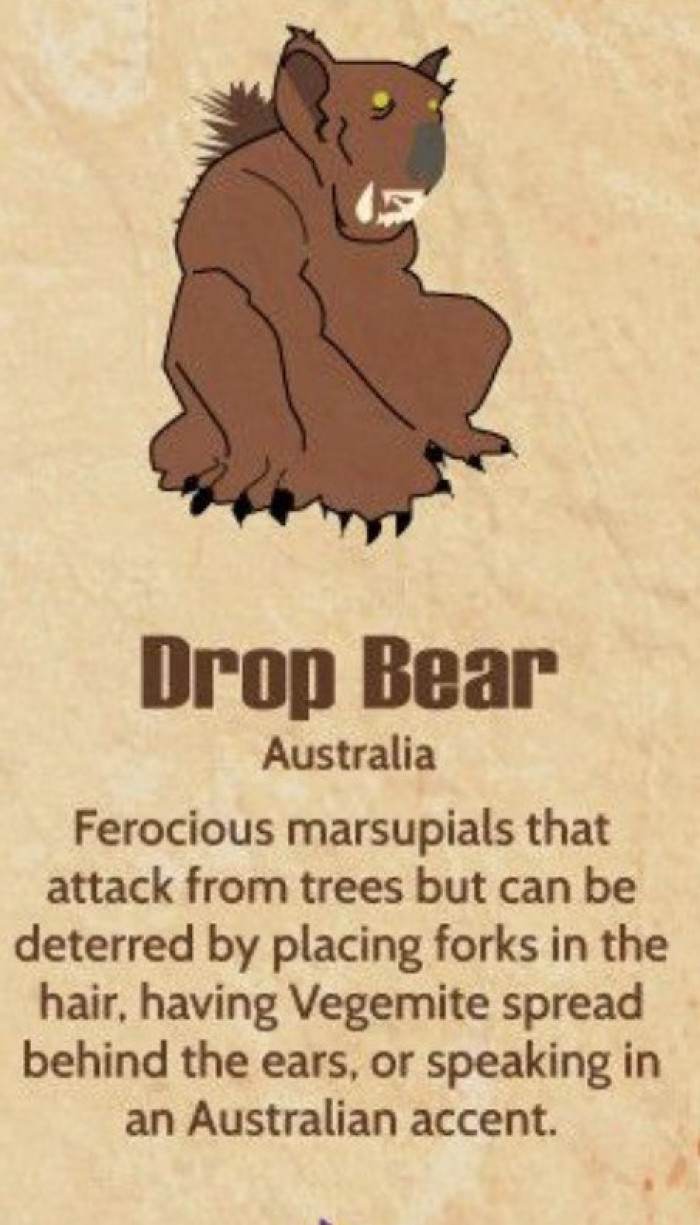  Drop Bear - Australia