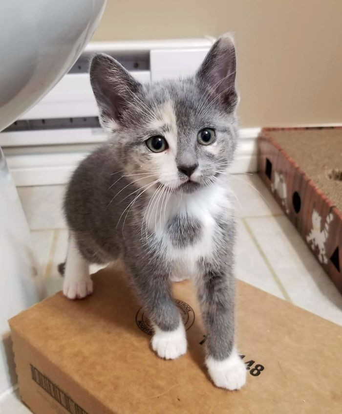 25. "Our Family Applied To Adopt This Little One Today. Hoping All Goes Well"