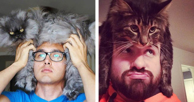 Cat Parents Wearing Their Cats As Hats