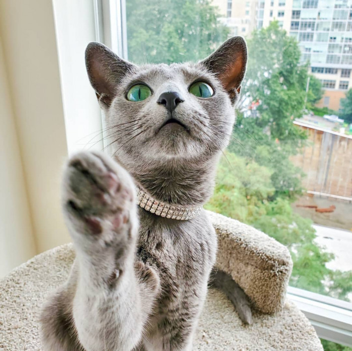 She is extraordinarily loving and playful.